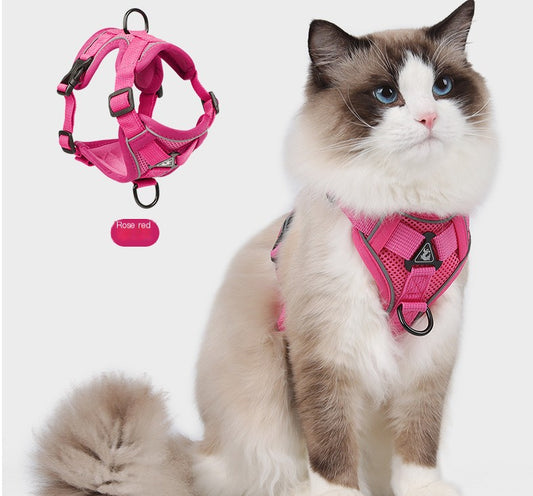 Drools&Tools Chest Strap for Cats – Secure, Stylish, and Comfortable