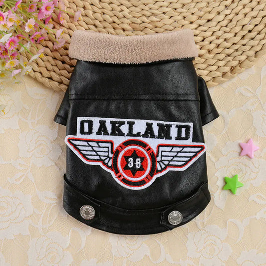 Embroidered Leather Dog Jacket
