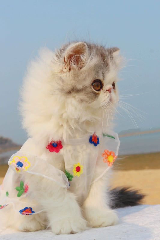 Mesh Flower Embroidered Dress for Cats