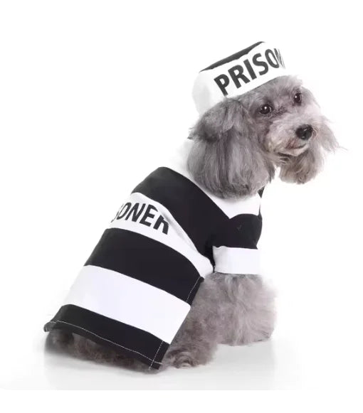 Paws & Order Costume Set