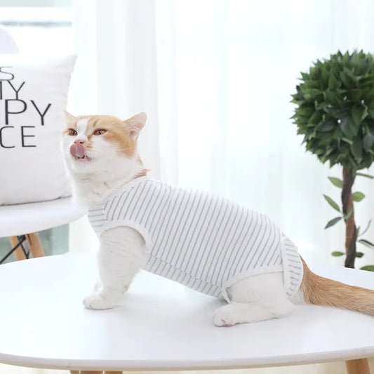 Blue & White Striped Cat Shirt