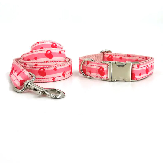 Quality Dog Collar and Leash Set